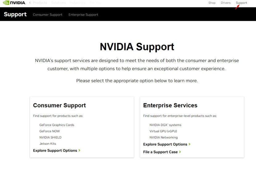 Reset Nvidia Network Service